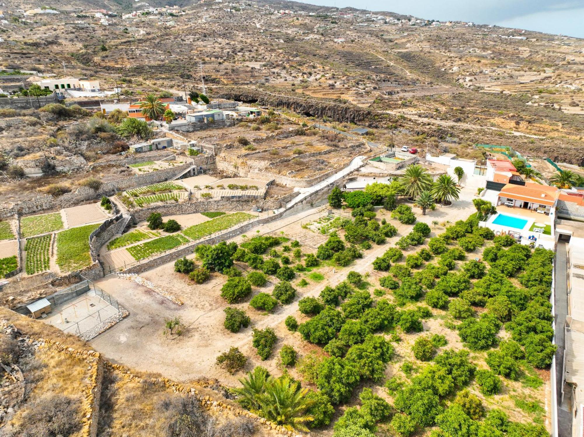 Private House With Pool & Garden Villa Güimar Kültér fotó